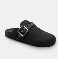 Negro