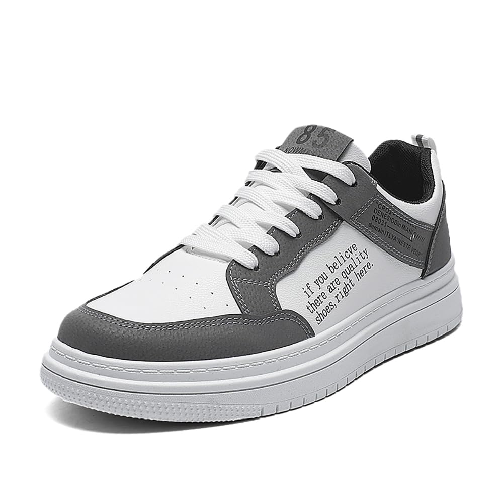 2302 Gris