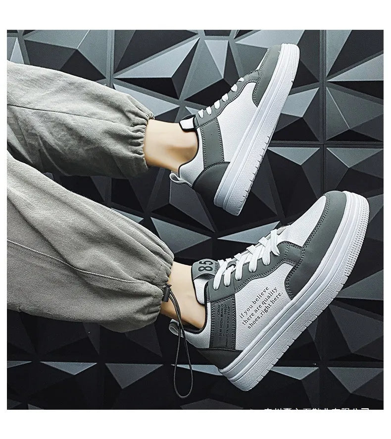 2302 Gris
