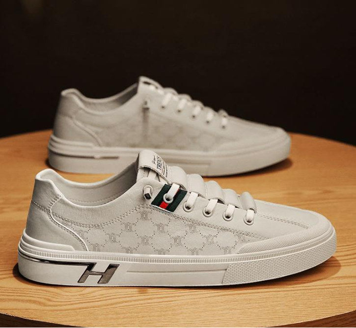 Zapatillas Urbanas Hombre Modelo CK201