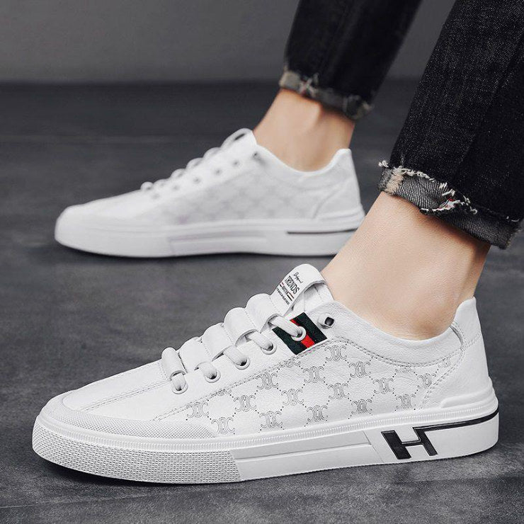 Zapatillas Urbanas Hombre Modelo CK201