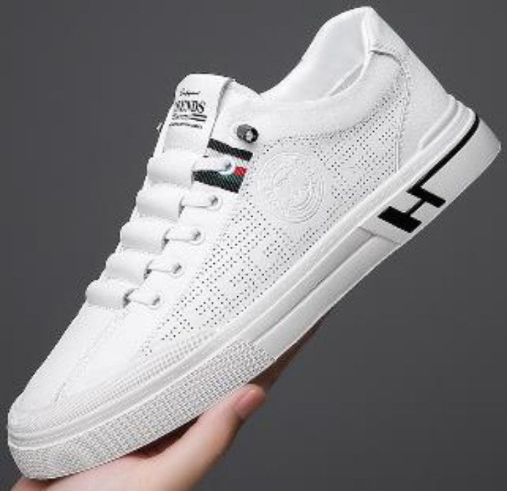 Zapatillas Urbanas Hombre Modelo CK203