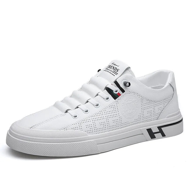 CK203 Blanco