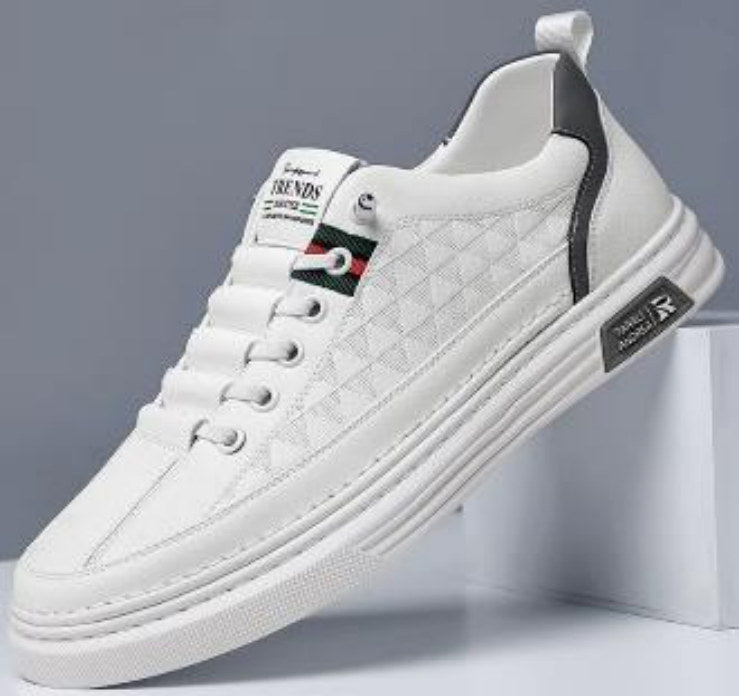 Zapatillas Urbanas Hombre Modelo R01