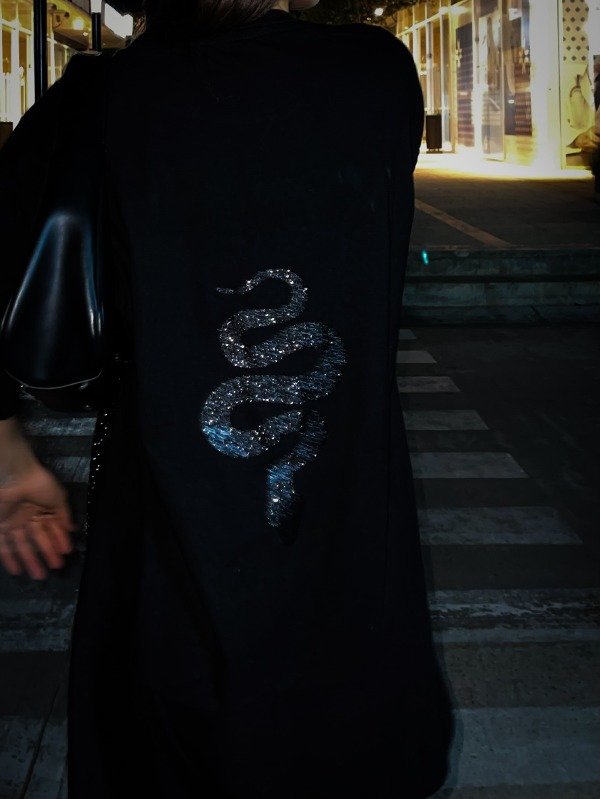 Serpiente Nocturna